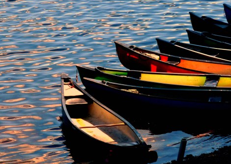 5835538829_53d25c11df_b